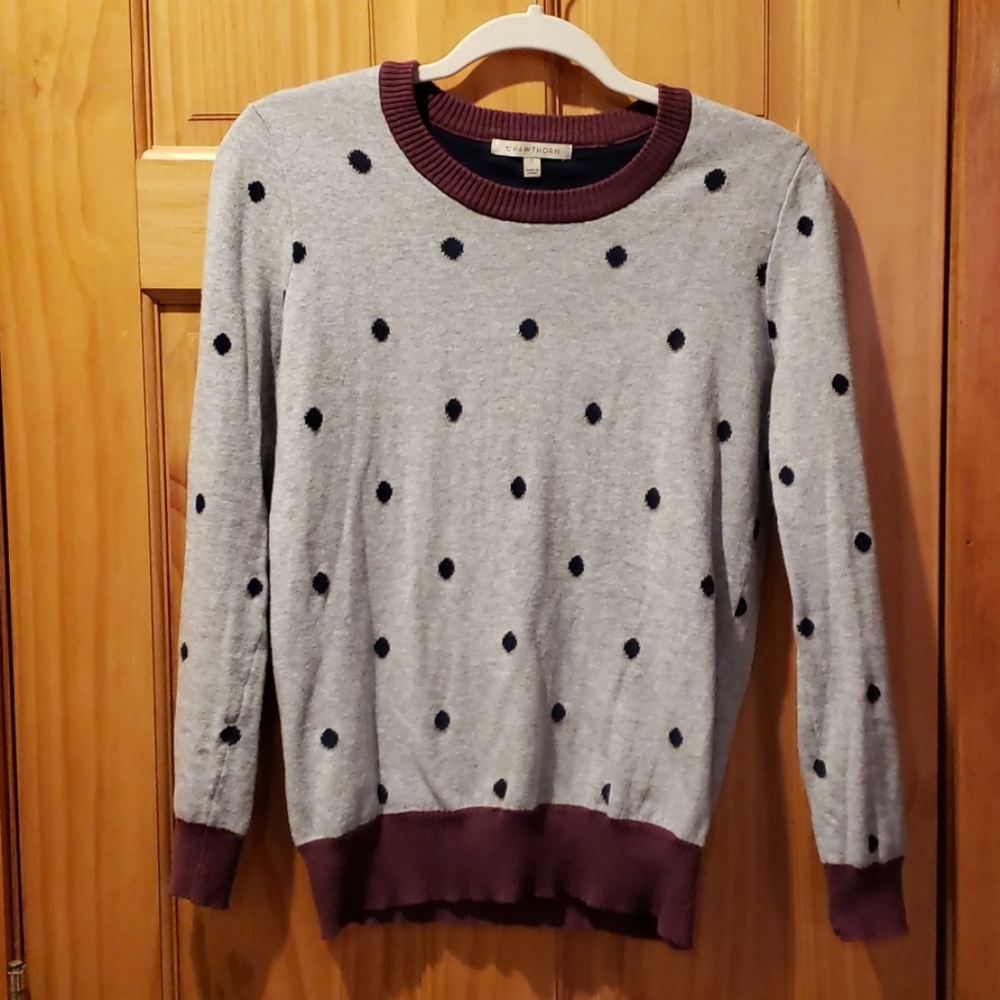 41 Hawthorn Polka Dot sweater